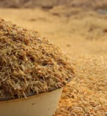 Export of De-Oiled Rice Bran has been prohibited until 30th September 2025 (04.02.2025 – Notification 56 of DGFT)